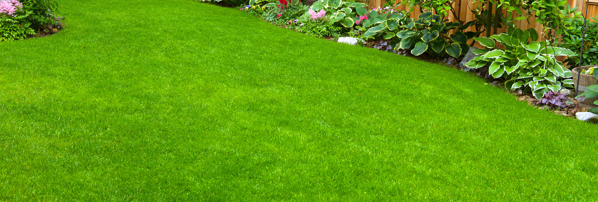Home Garden